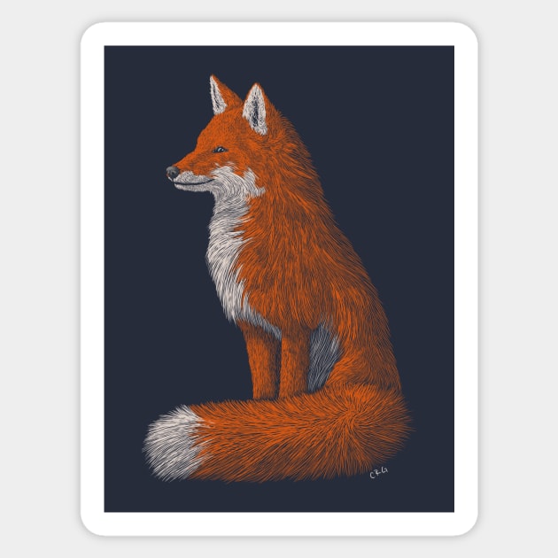 Red Fox Sticker by Walking in Nature